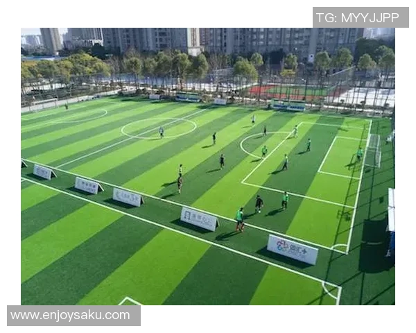 足球明星携手电动汽车引领绿色出行新风潮助力可持续发展