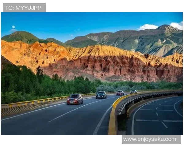 杭州排球队勇攀高峰洲际杯征程中的辉煌与挑战