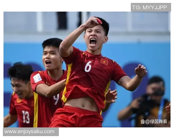 越南血统足球明星盘点与成就分析全景展示 越南血统足球明星盘点与成就分析全景展示